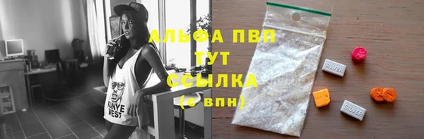 эйфоретик Баксан