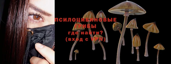 герыч Балахна