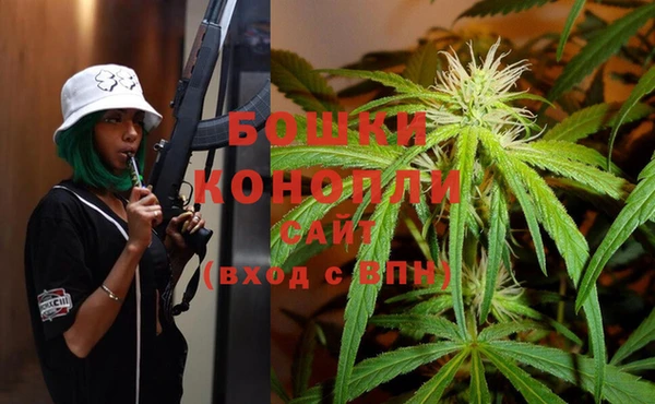 эйфоретик Баксан